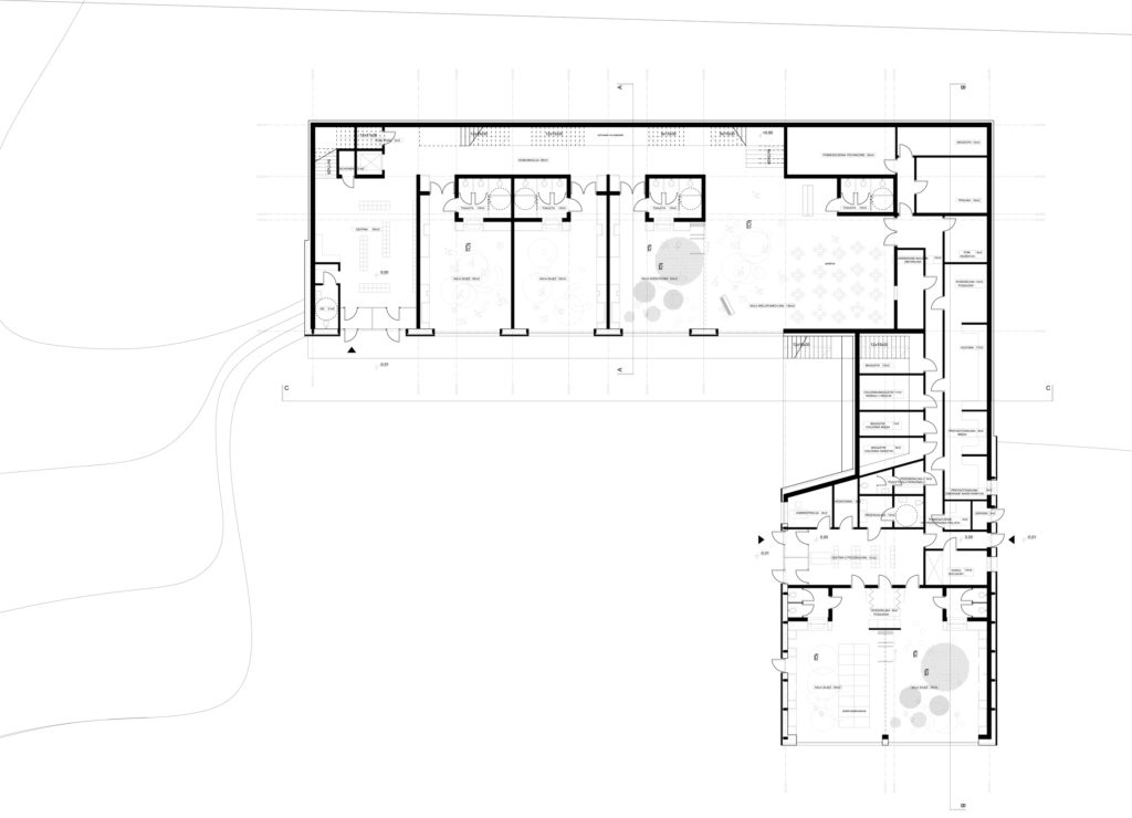 rzut kondygnacji parteru