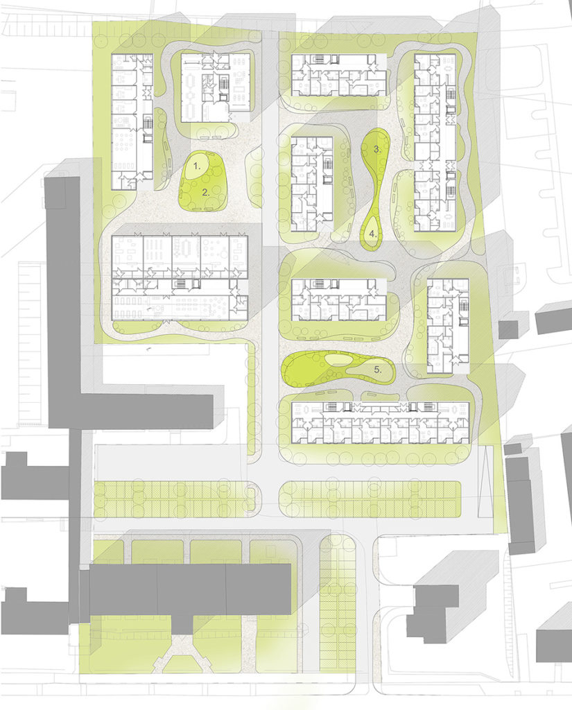 Zagospodarowanie terenu