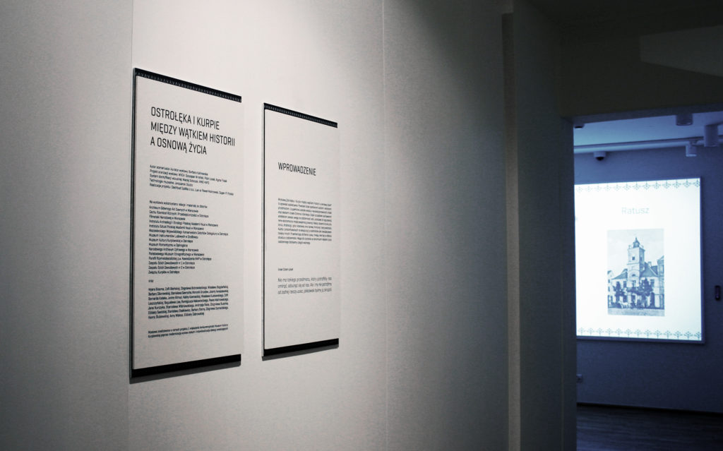 Wprowadzenie na wystawę